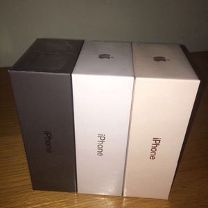 Meet your Posher, Bobby